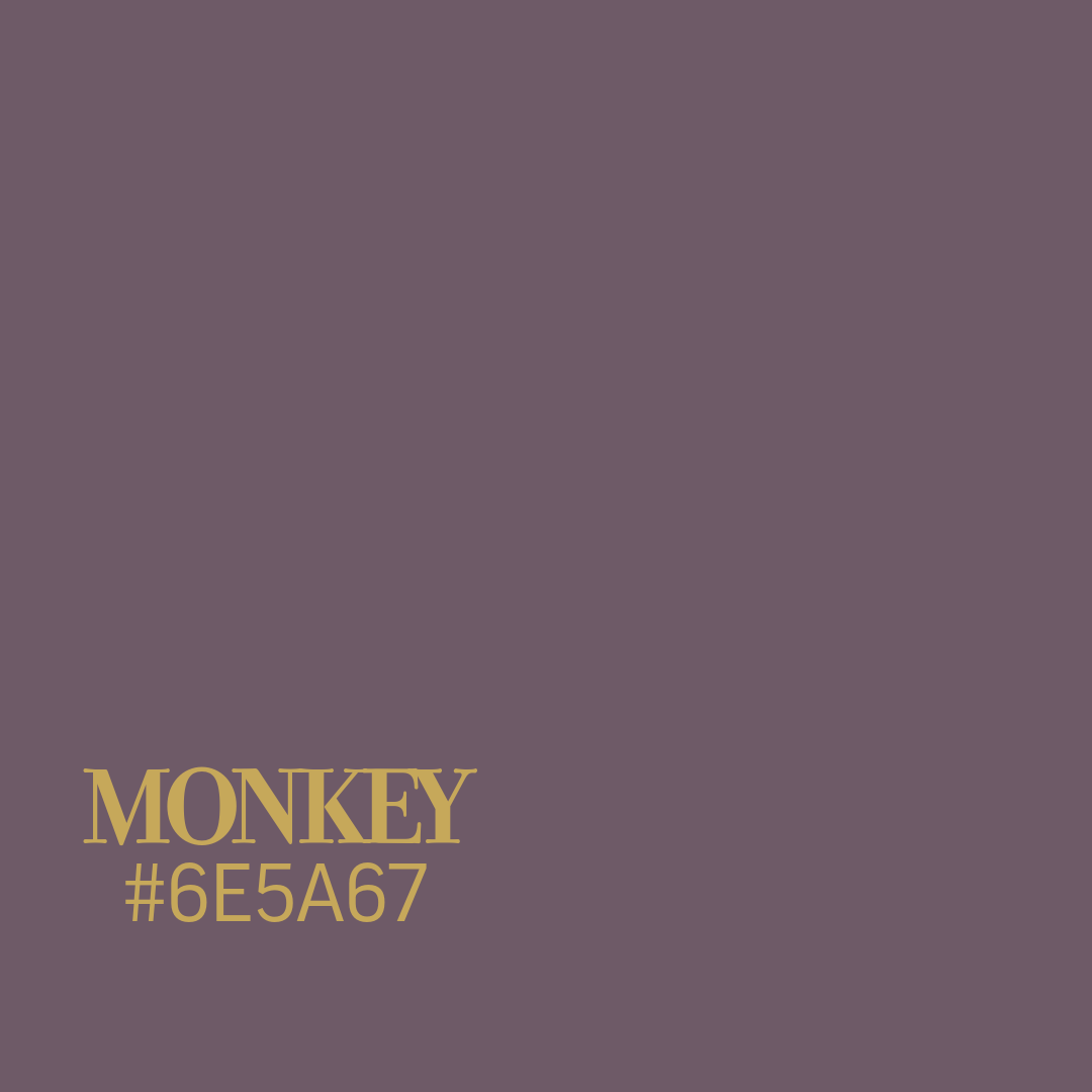 Monkey
